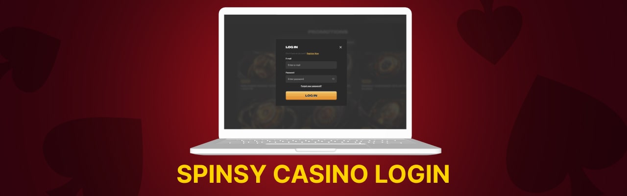 Setting Up Your Profile Step By Step